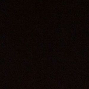 Meet your Posher, Lily